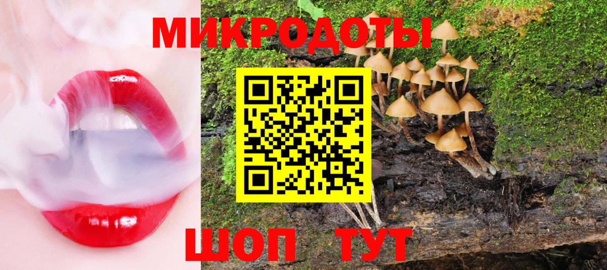 Галлюциногенные грибы ЛСД  что такое   Выборг  Вход с VPN 