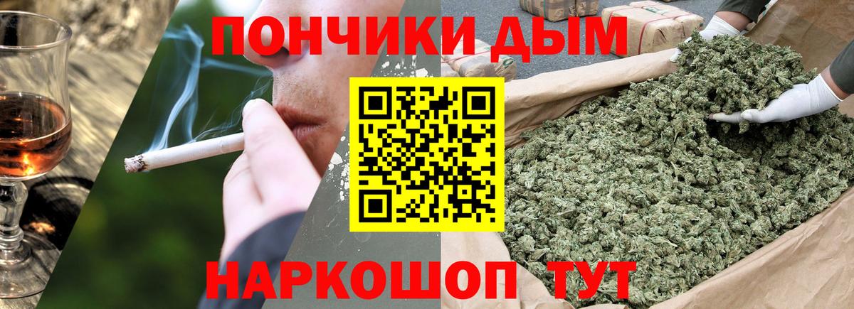 Шишки марихуана планчик  Бошки марихуана THC 21%  Вход с VPN  Выборг  Бошки марихуана тримм 